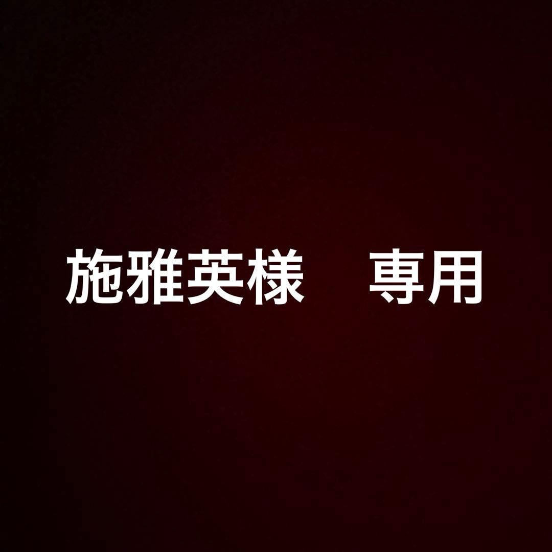 【ルイ・ヴィトン】アルマ