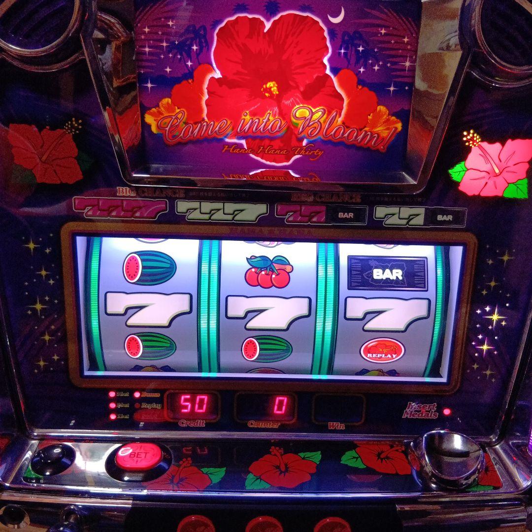 パチスロ実機　キングハナハナ30　紫パネル