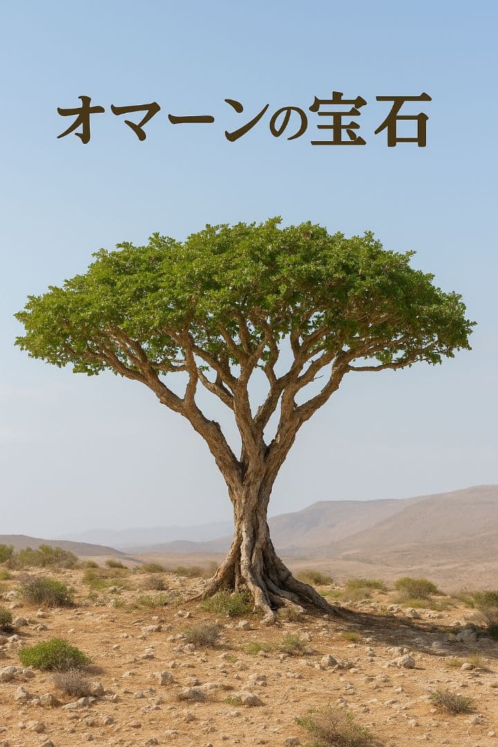ローヤルグリーンホジャリ最高級フランキンセンスの王様200gお得