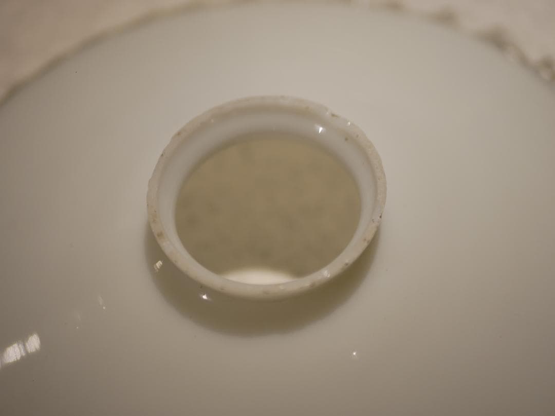 フランス　アンティーク　ペンダントランプ