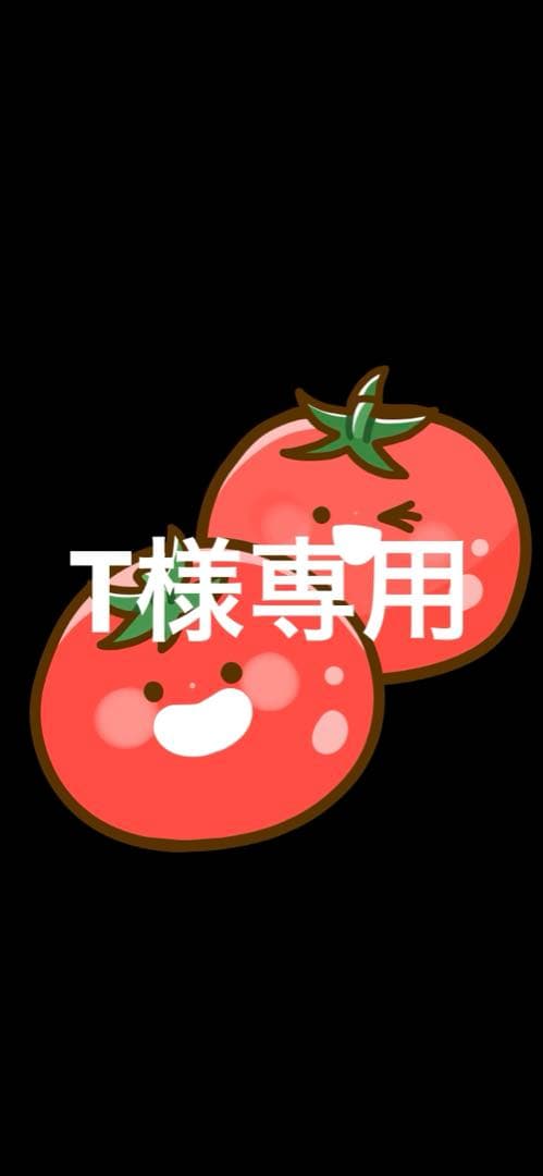 【T】添加剤セット。