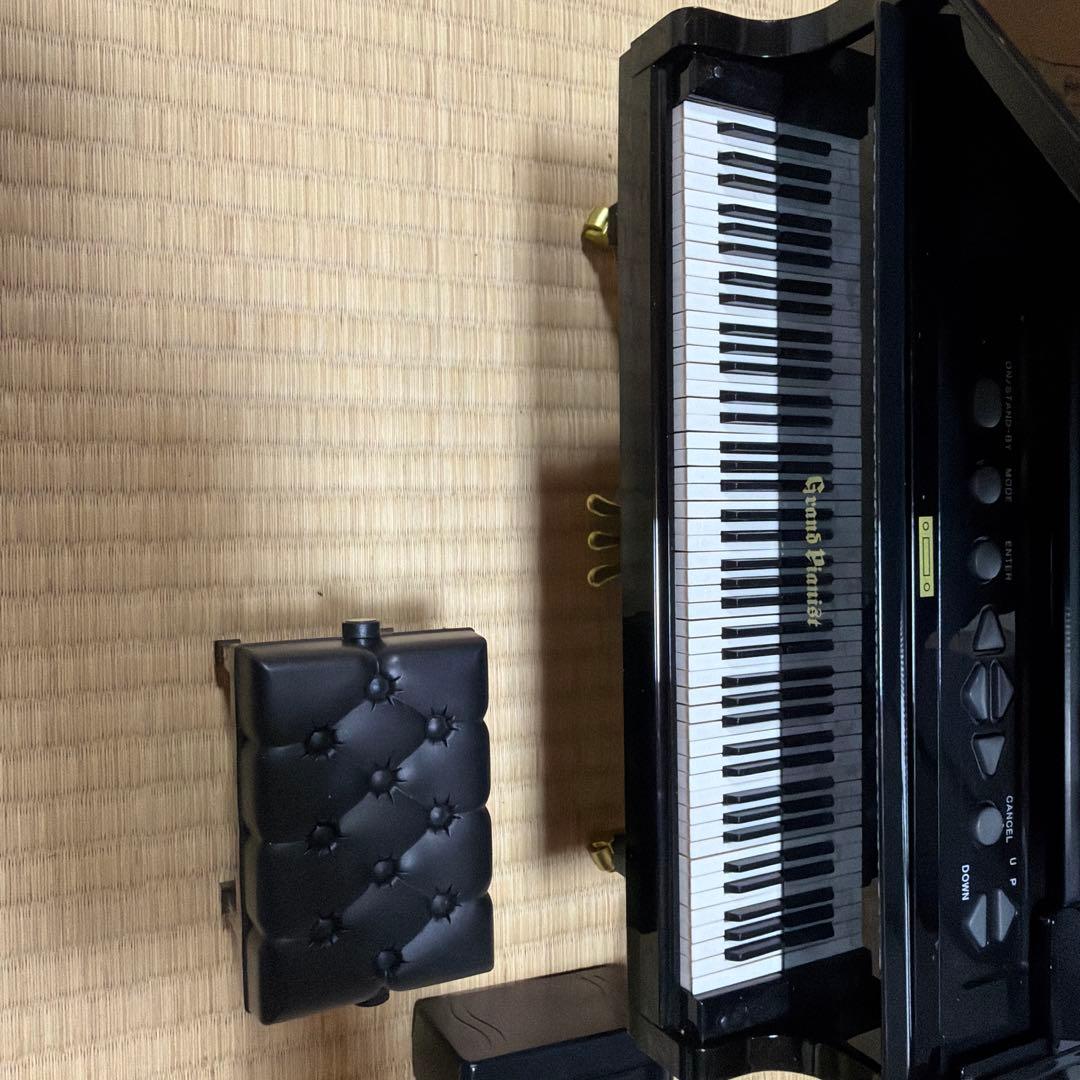 セガトイズ　グランドピアニスト　PIANO CONCERT PLAYER 黒