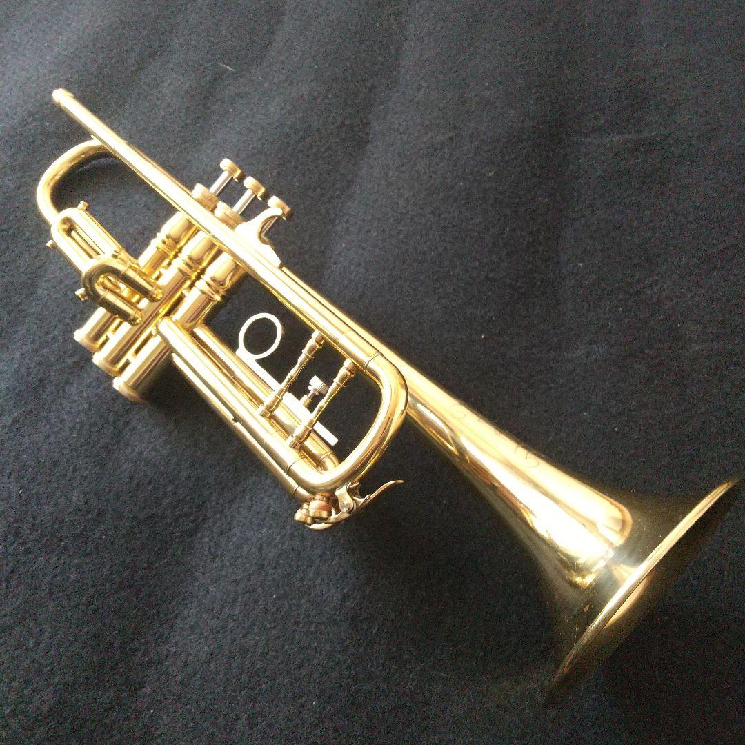 「フジ・デラックス」ゴールドとシルバーの2本セット。ビンテージダブルケース付属