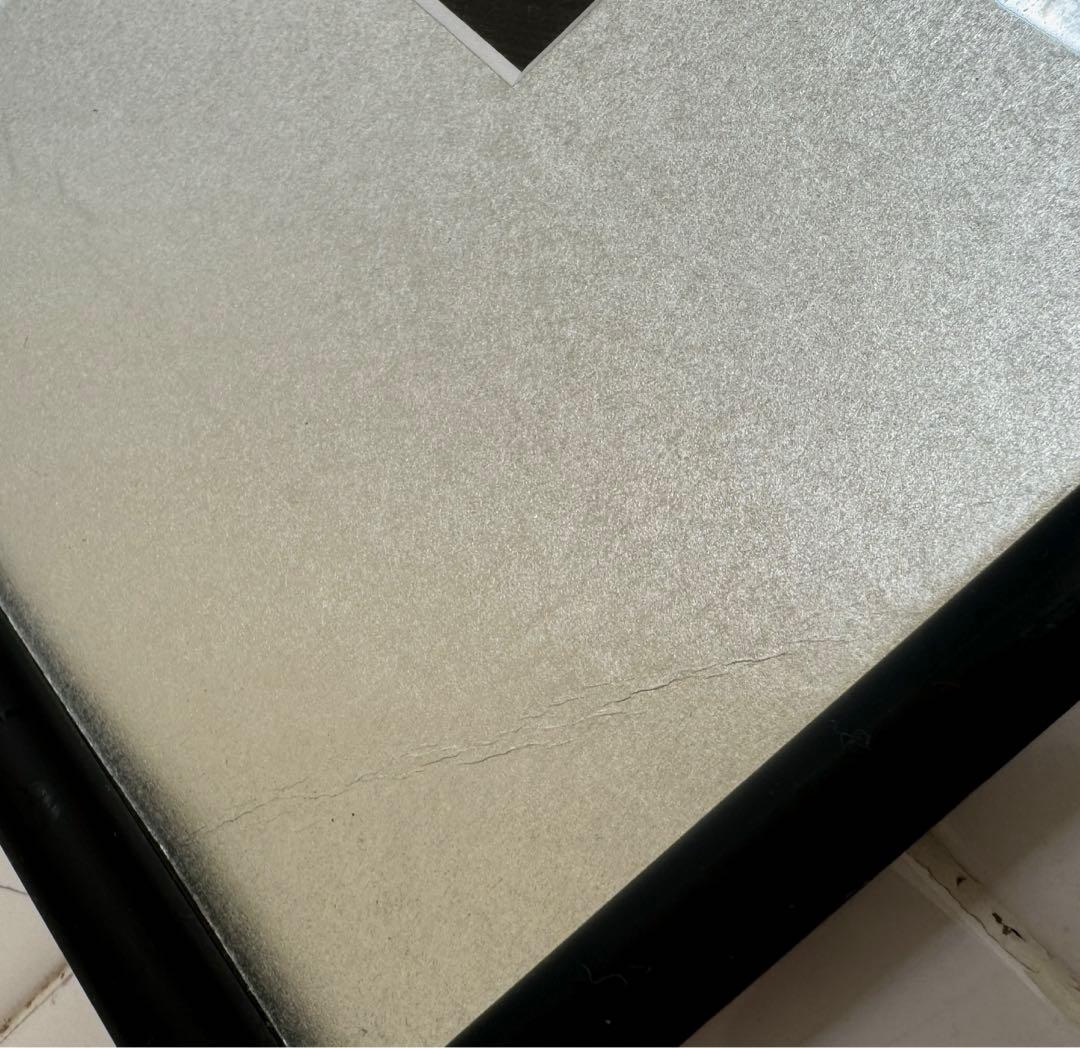 東風終（岩峰啓一）作品『蓮の花／Lotus flower』