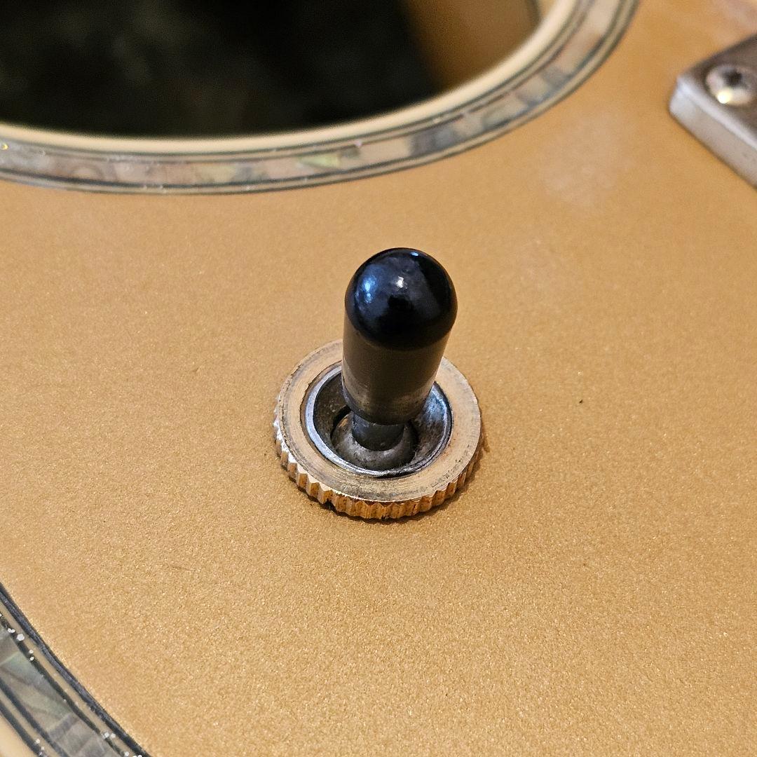 YAMAHA SG3000CUSTOM　ケーラートレモロ改造