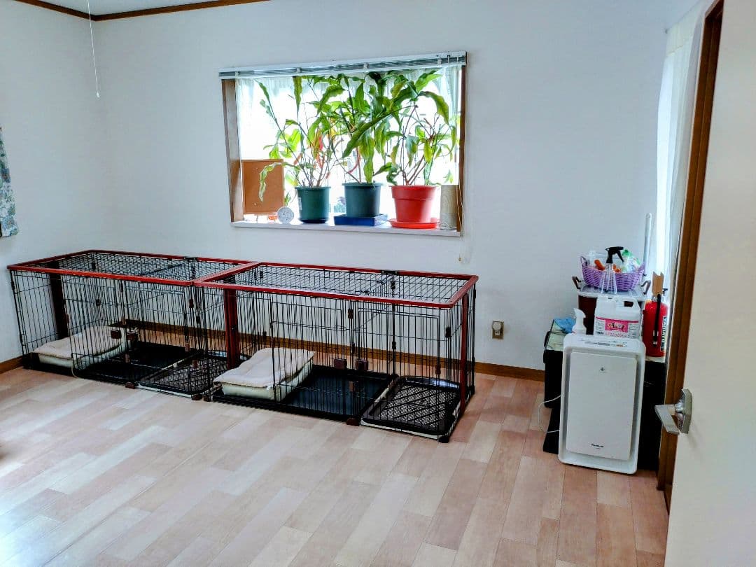 犬用折りたたみケージ 1区画 黒赤