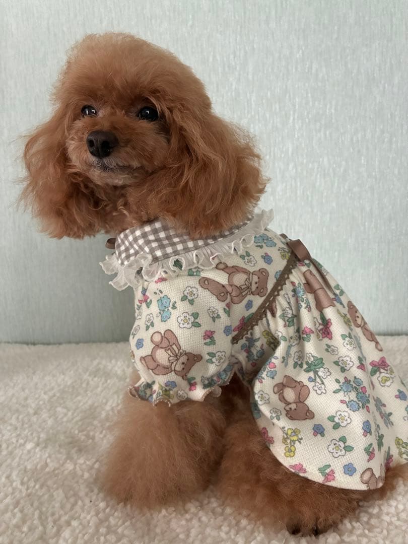 にゃんたろう犬服ハンドメイド