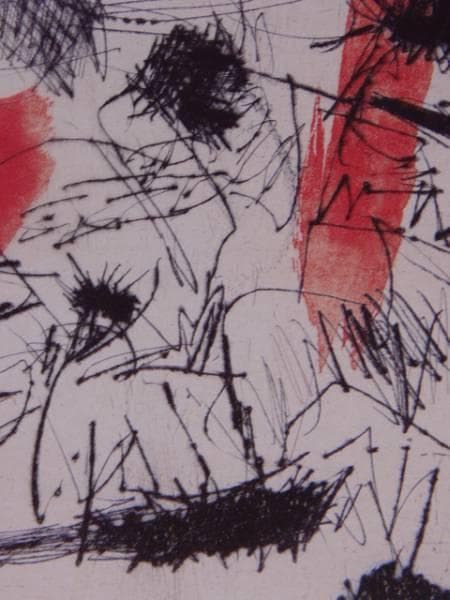 池田満寿夫、作品 、希少画集画、高級額装、状態良好