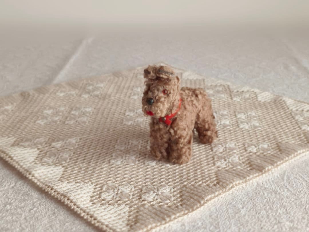 * vintage dog ❀ クルクル巻き毛がキュートな ワンちゃん