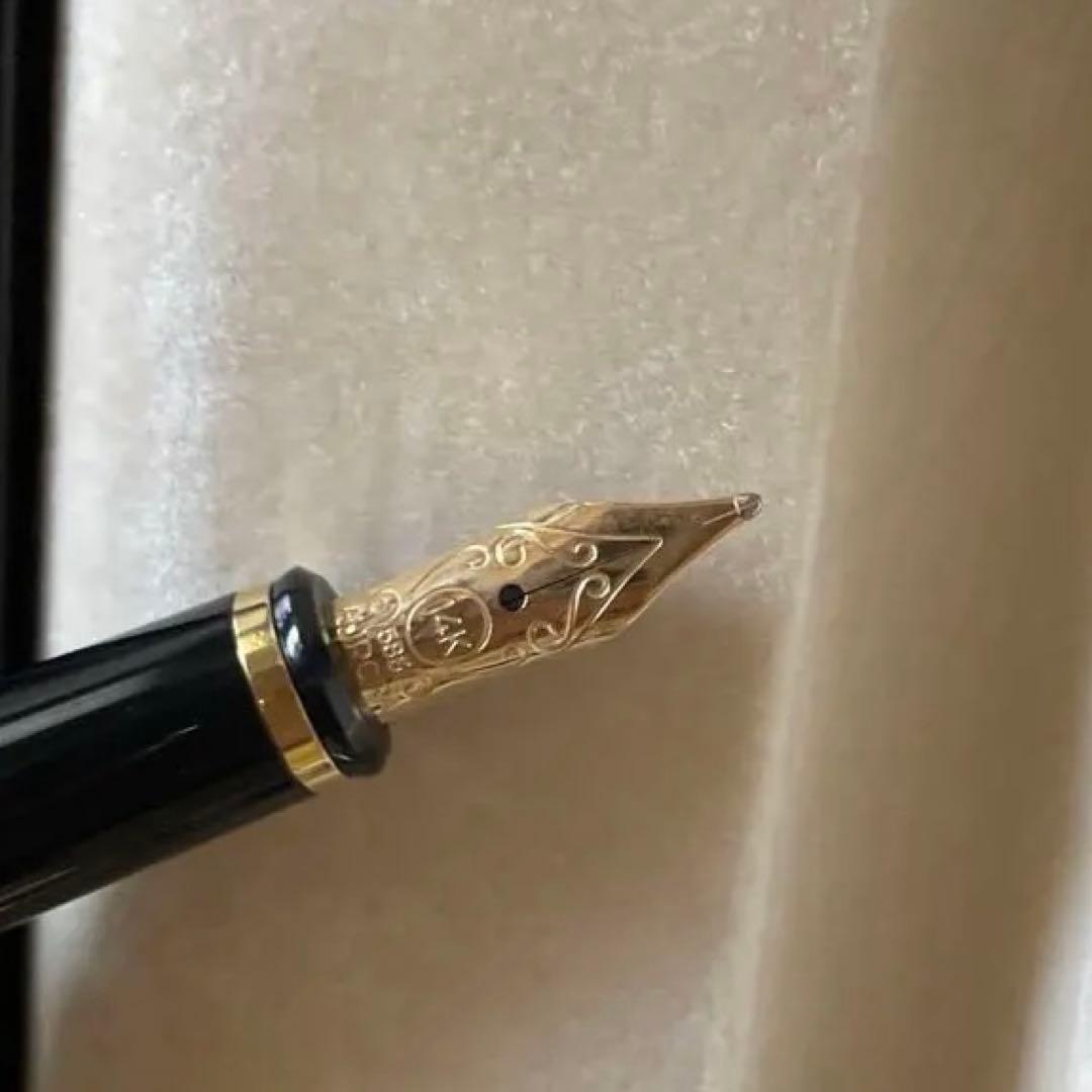 AURORA アウロラ　万年筆 黒 専用ケース付き