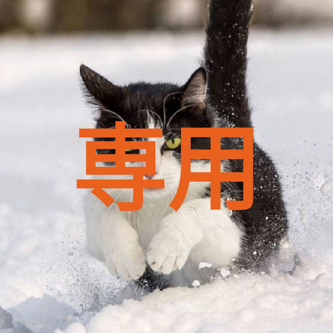 【プロフィール必読！　断捨離　】