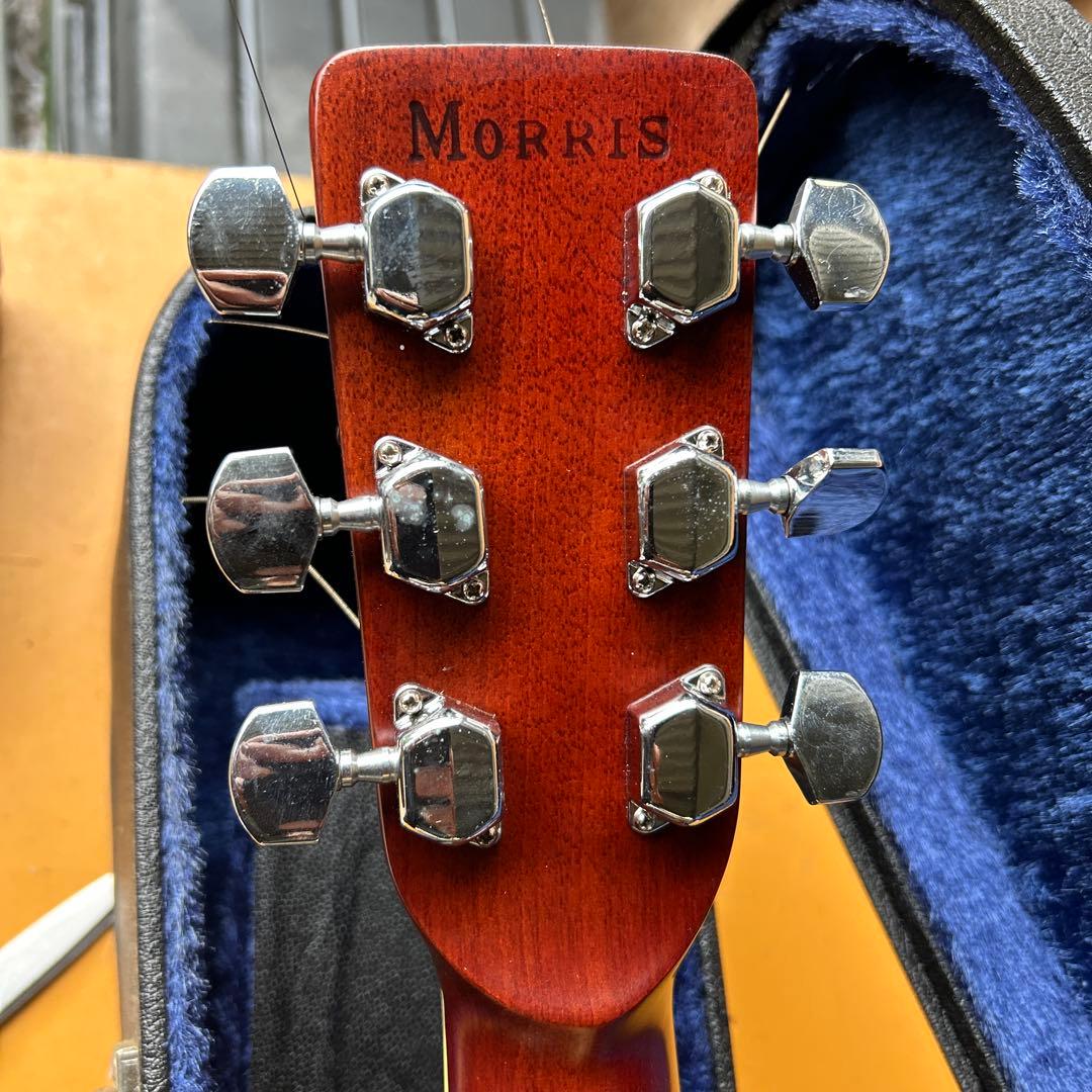 Morris アコースティックギター スプルース