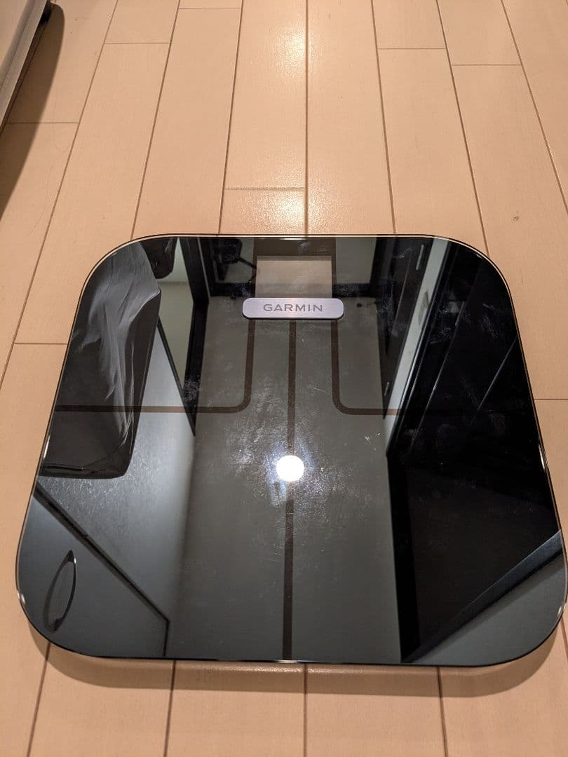 GARMIN INDEX S2 ブラック