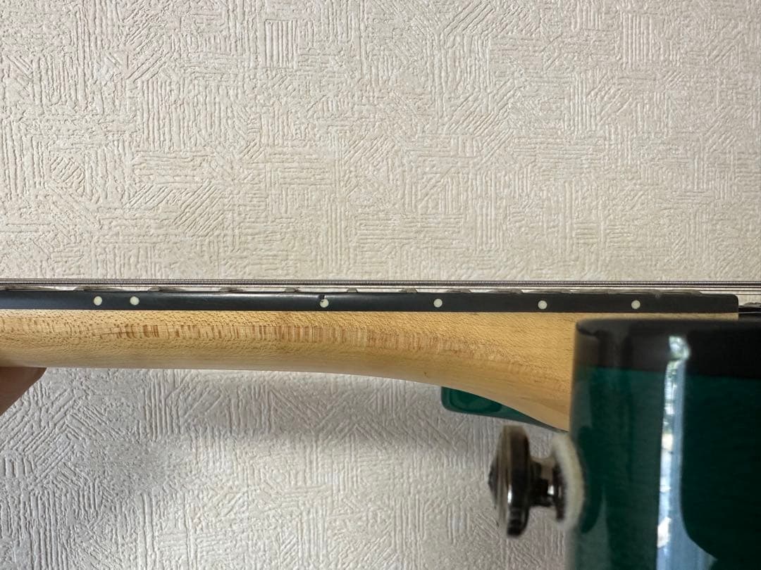 Daisy Rock エレキギター　ソフトケース付