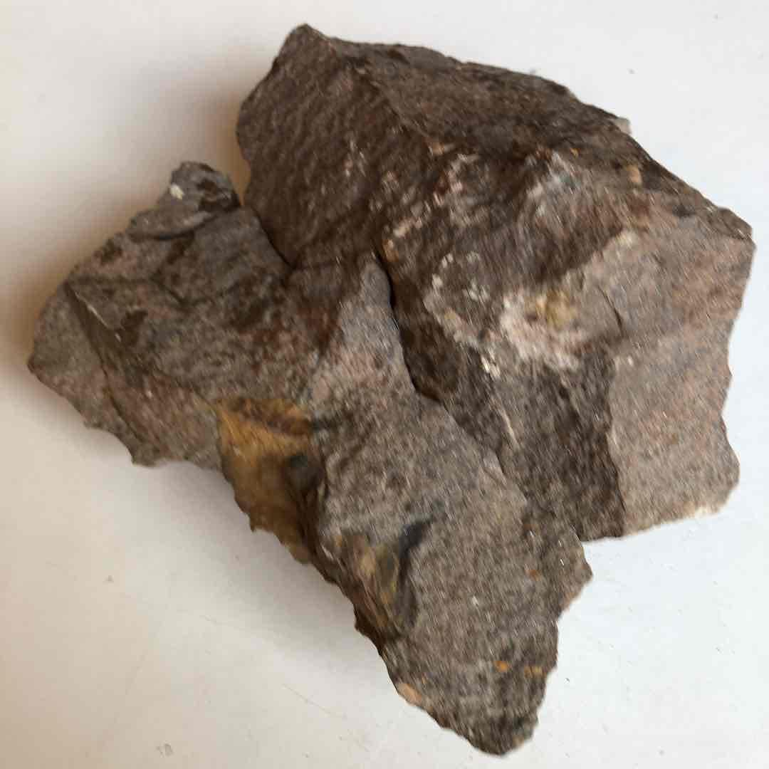 超貴重品　モロッコ砂漠で採取　現在輸出禁止です。