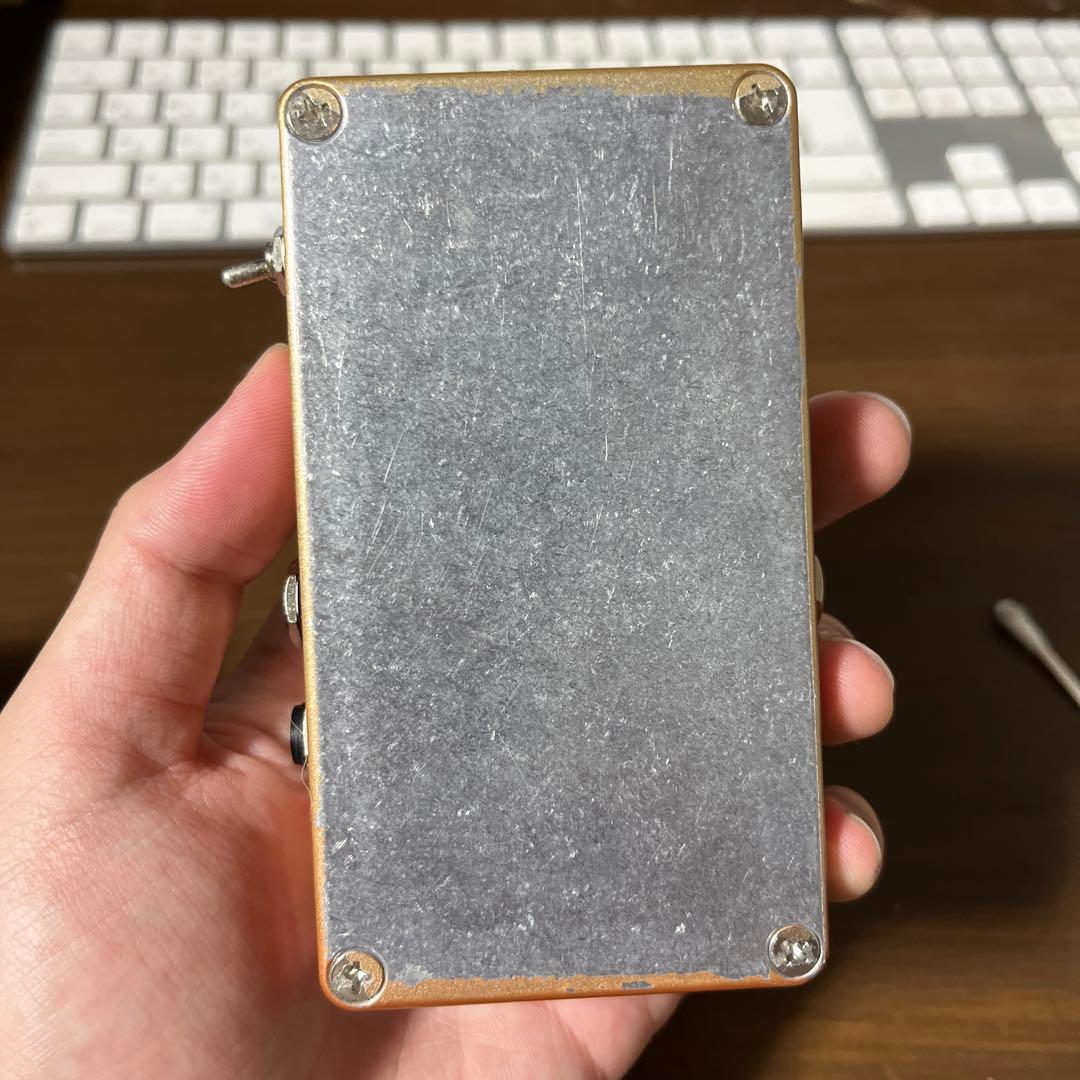 ギター vivie ferrecomp