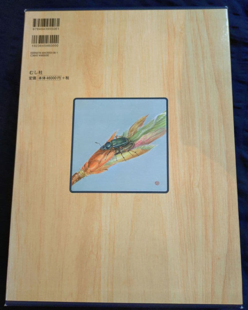 世界のクワガタムシ大図鑑 6