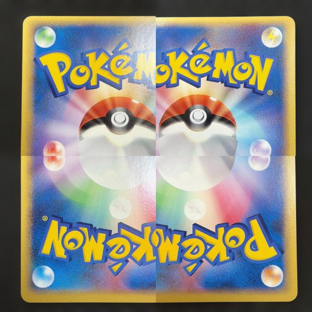 【希少ポケパーク限定】ポケモンカードゲーム フォレストシート プレミアムファイル