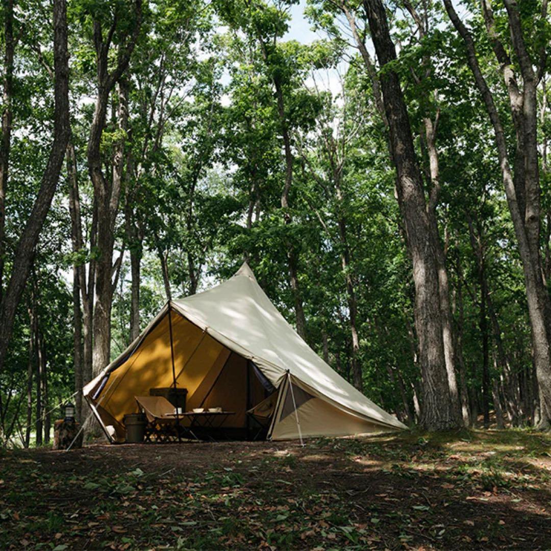 サバティカル モニグロTCマリポサM TC 他多数 セット売りのみ