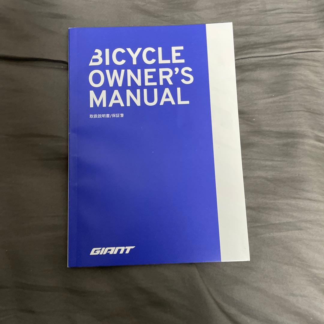 ジャイアント　エスケープ　フレーム　RX3 2021年　モデル　Lサイズ