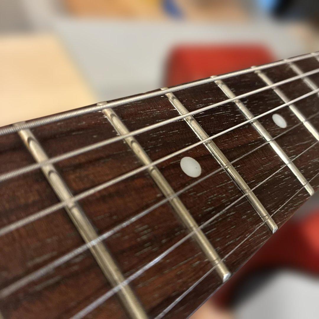 ピグノーズPGG200 ブラック