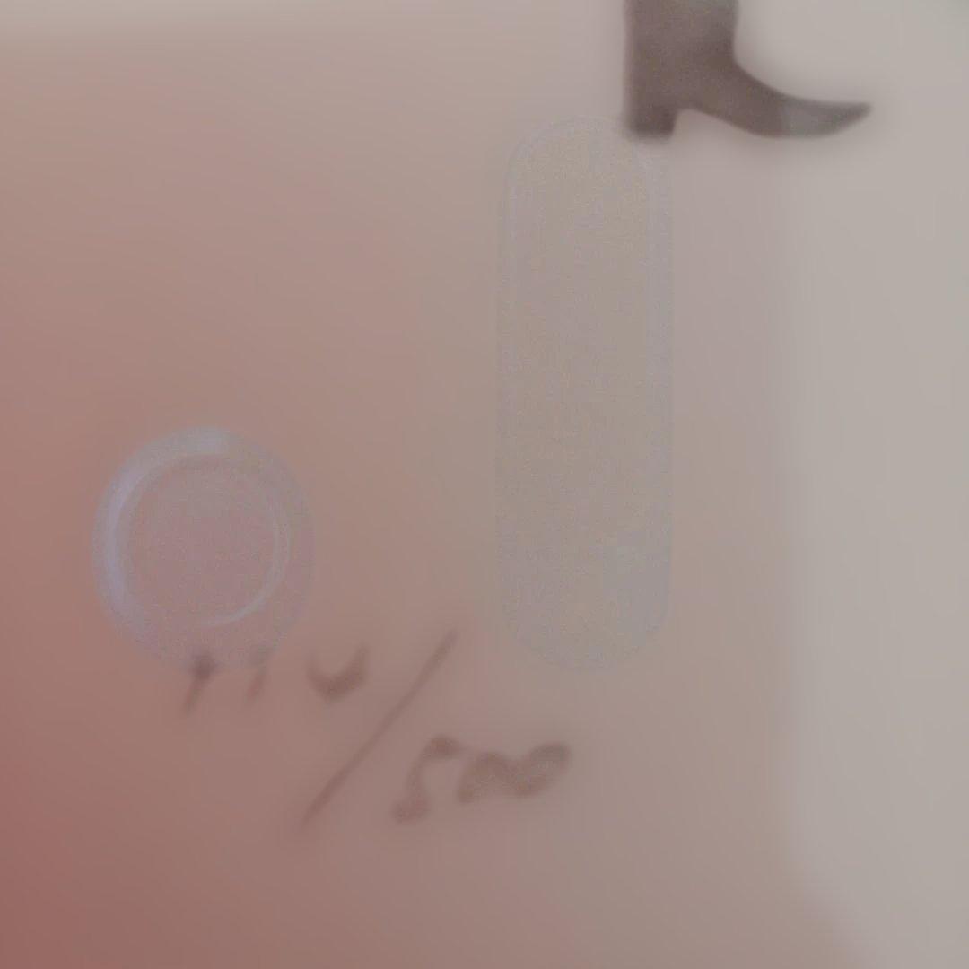 藤城清治レフグラフ　こびとのシンフォニー　保証書付き