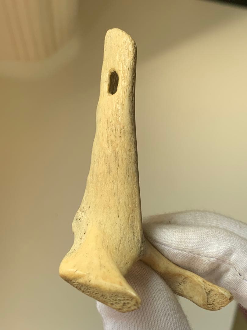 縄文時代　出土　骨角器　骨製首飾り　石器　土器　勾玉　根付　水石　魔除け　弥生