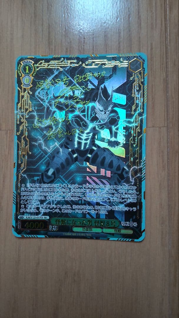 ヴァイスシュヴァルツ　怪獣8号　怪獣になった男　sec