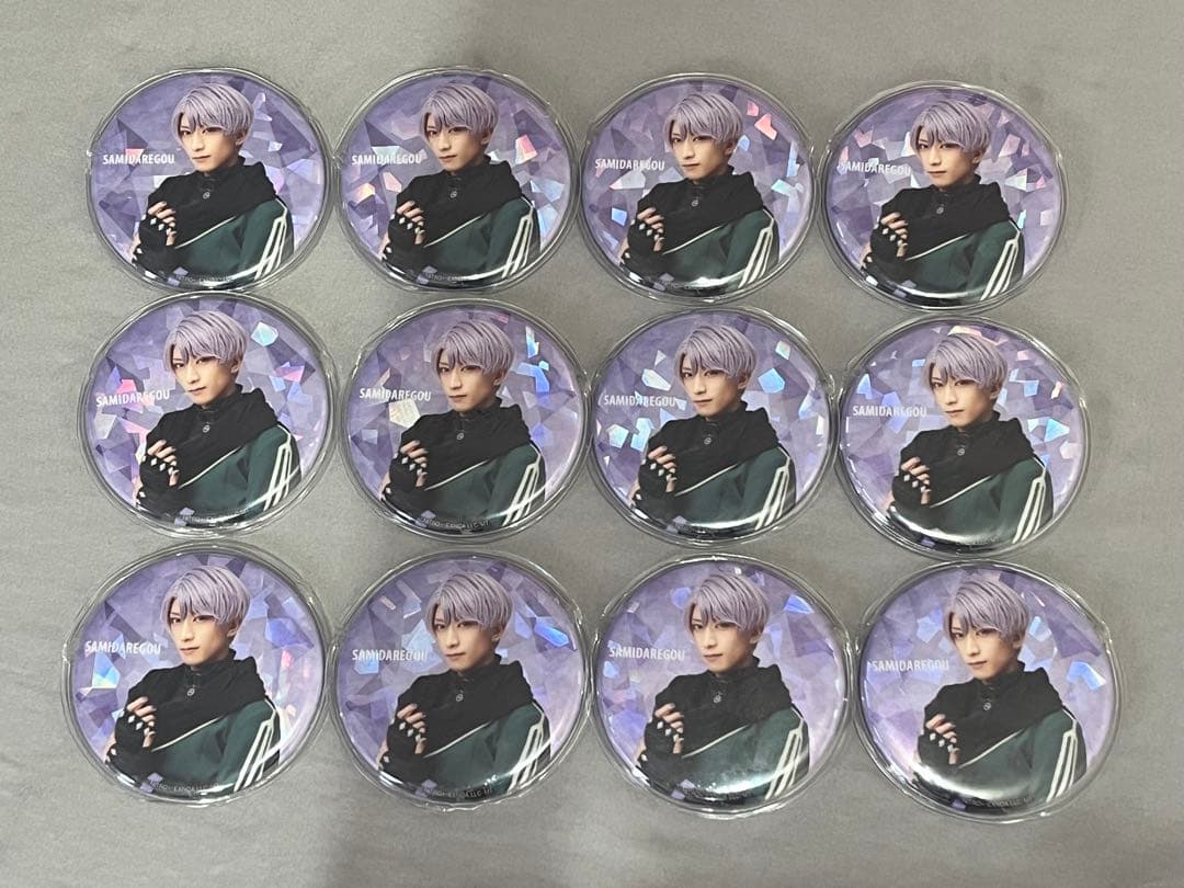 江おんすていじ 五月雨江 缶バッジ 12個セット