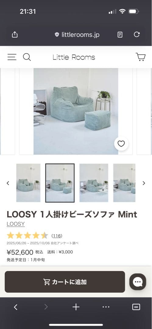 LOOSY 1人掛けビーズソファ Mint オットマン付