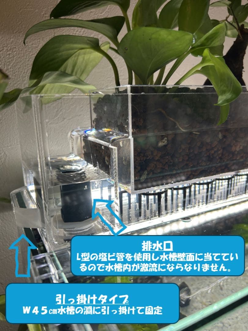 【格安】上部濾過アクアリウム水槽　アクアポニックス（観葉植物）仕様