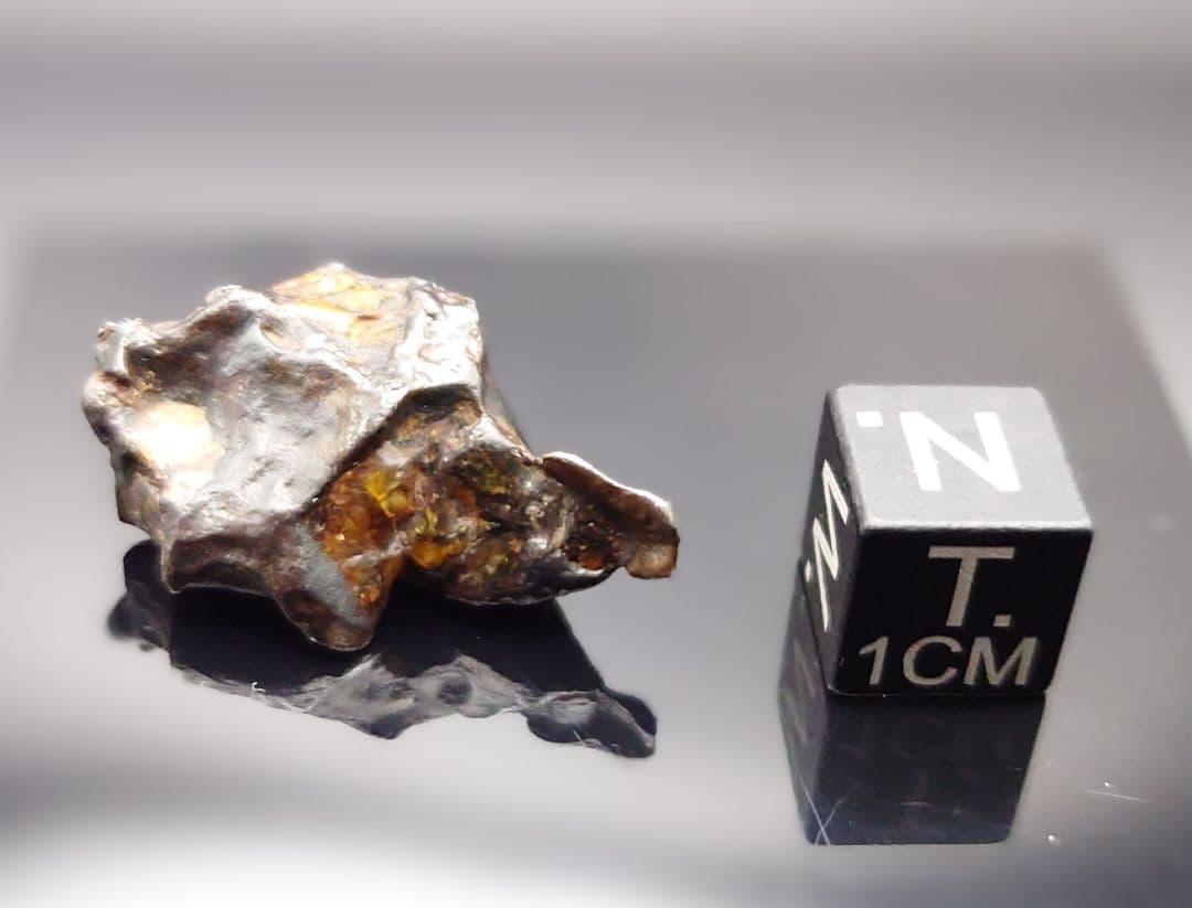 隕石 ゴールデン パラサイト⭐