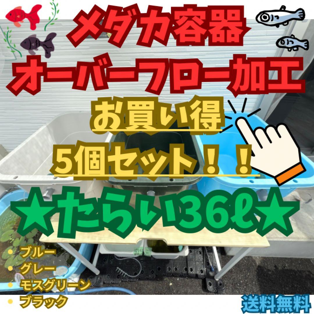 ★お買い得★たらい36L(5個)メダカ飼育容器オーバーフロー トロ舟プラ舟めだか