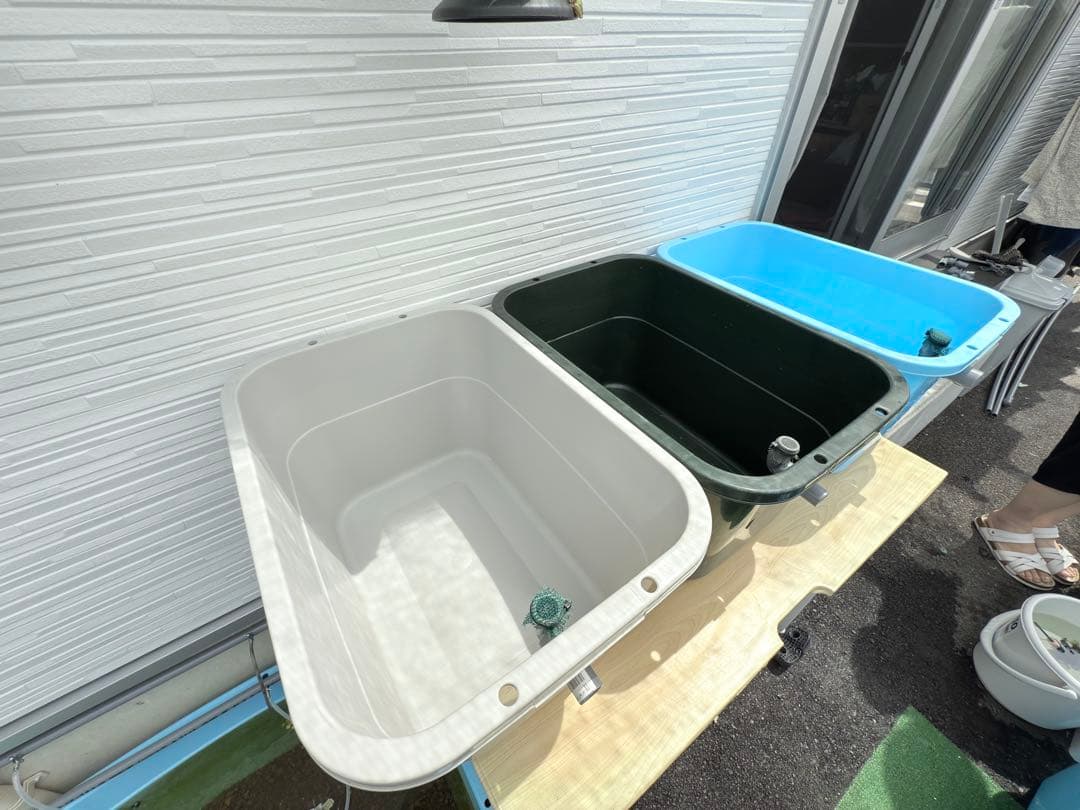 ★お買い得★たらい36L(5個)メダカ飼育容器オーバーフロー トロ舟プラ舟めだか