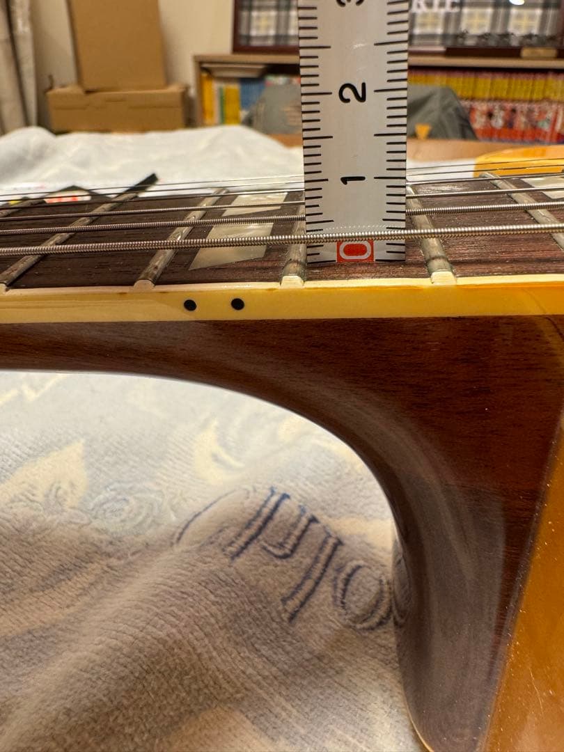 オービル　バイギブソン E-175