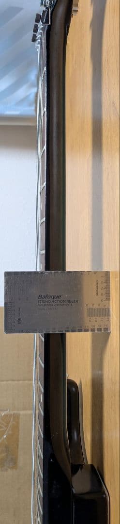 フェルナンデス　FERNANDES FST-65 the Function