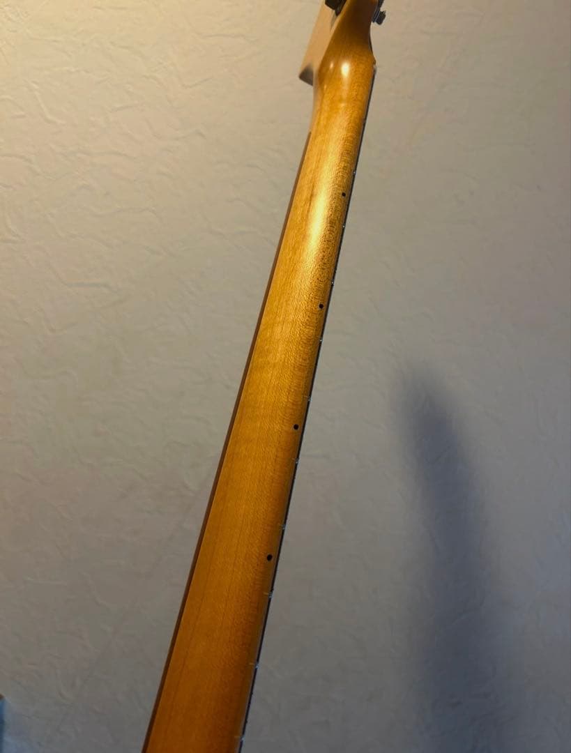 鬼虎目ネック！seymour duncan DS traditional