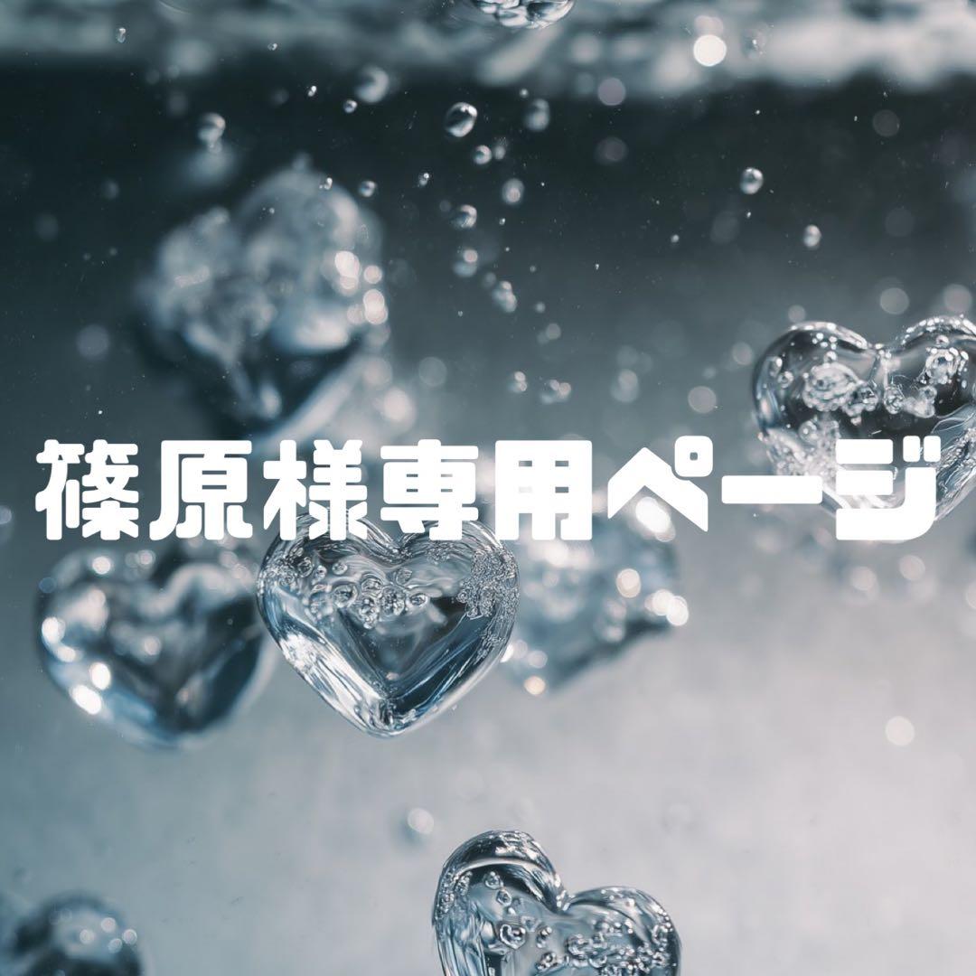 篠原様お見積もりページ