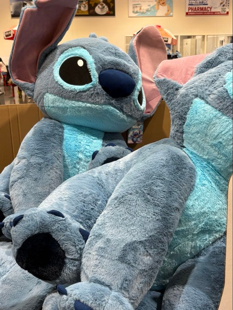 ぬいぐるみ　5本セット