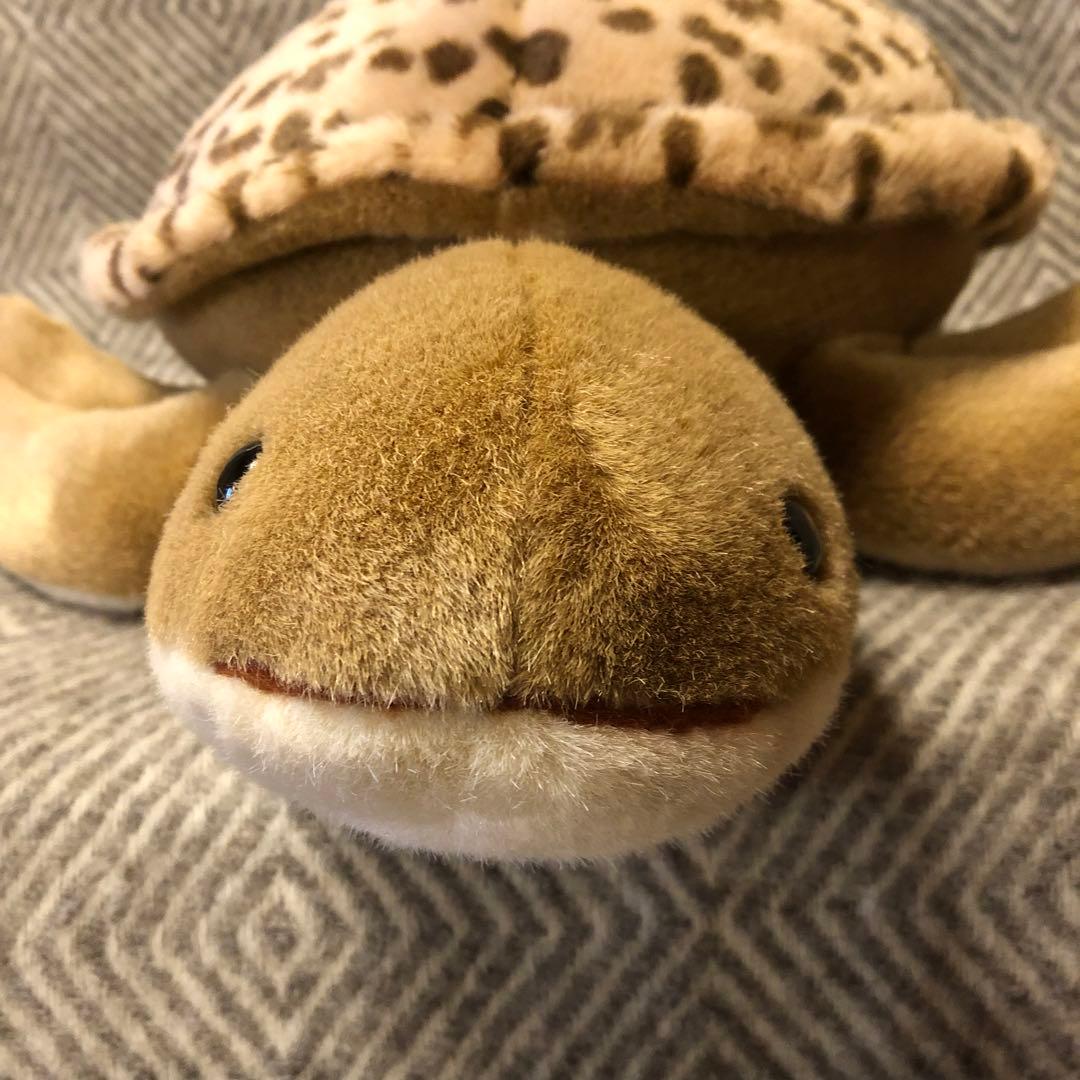 セキグチ　ウミガメ　亀　かめ　Earth Wind ぬいぐるみ