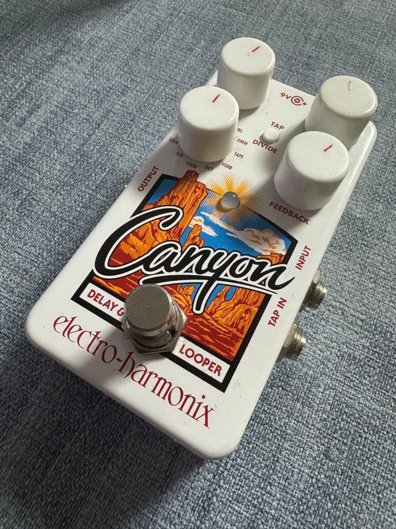 Electro-Harmonix CANYON エレハモ ディレイ ルーパー