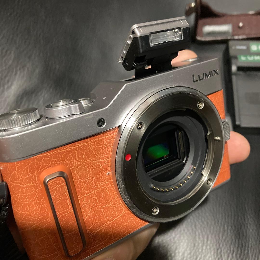 美品　最新LUMIX GF10ボディ&本革ボディケース&予備バッテリー&充電