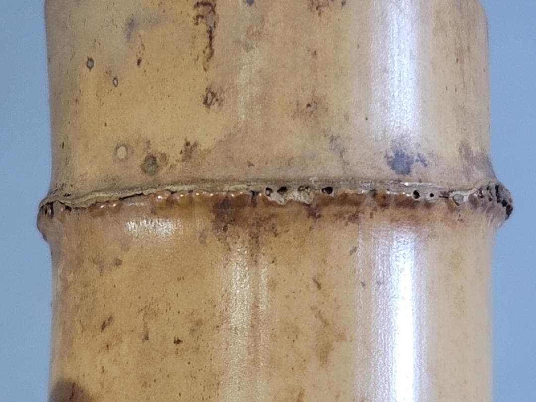 茶道具 竹 蓋置 一対 共箱 煤竹 茶杓 まとめて DT286