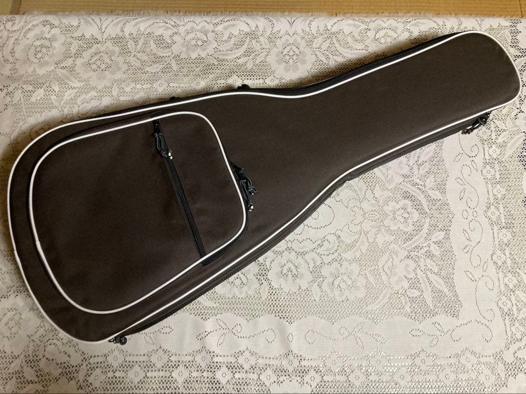 ギター Rozeo Ladybug SM-TBC HB Blueburst