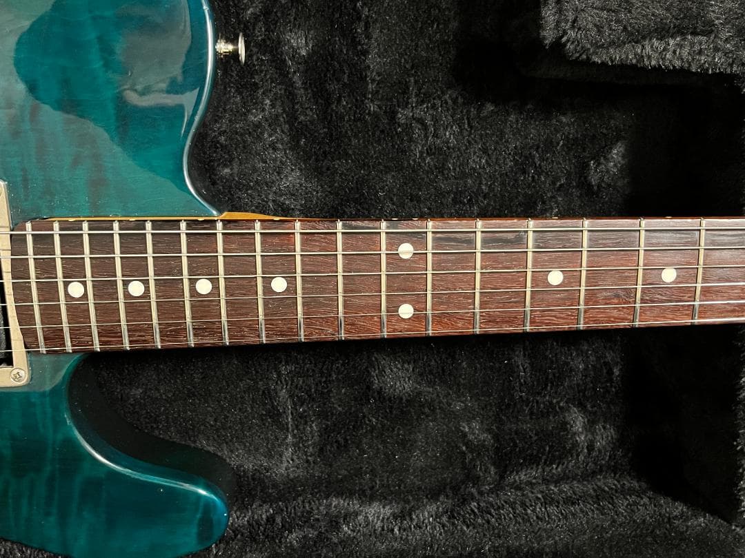 Vanzandt SCHECTER コンポーネントテレキャスター 上質木材使用