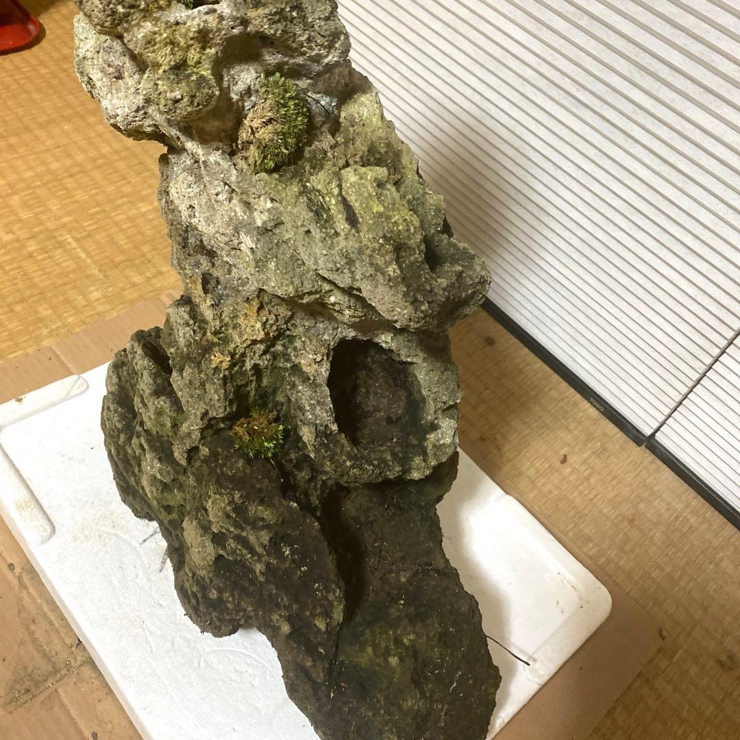 【美形】軽石　岩石　水槽　装飾 アクアリウム　NO3