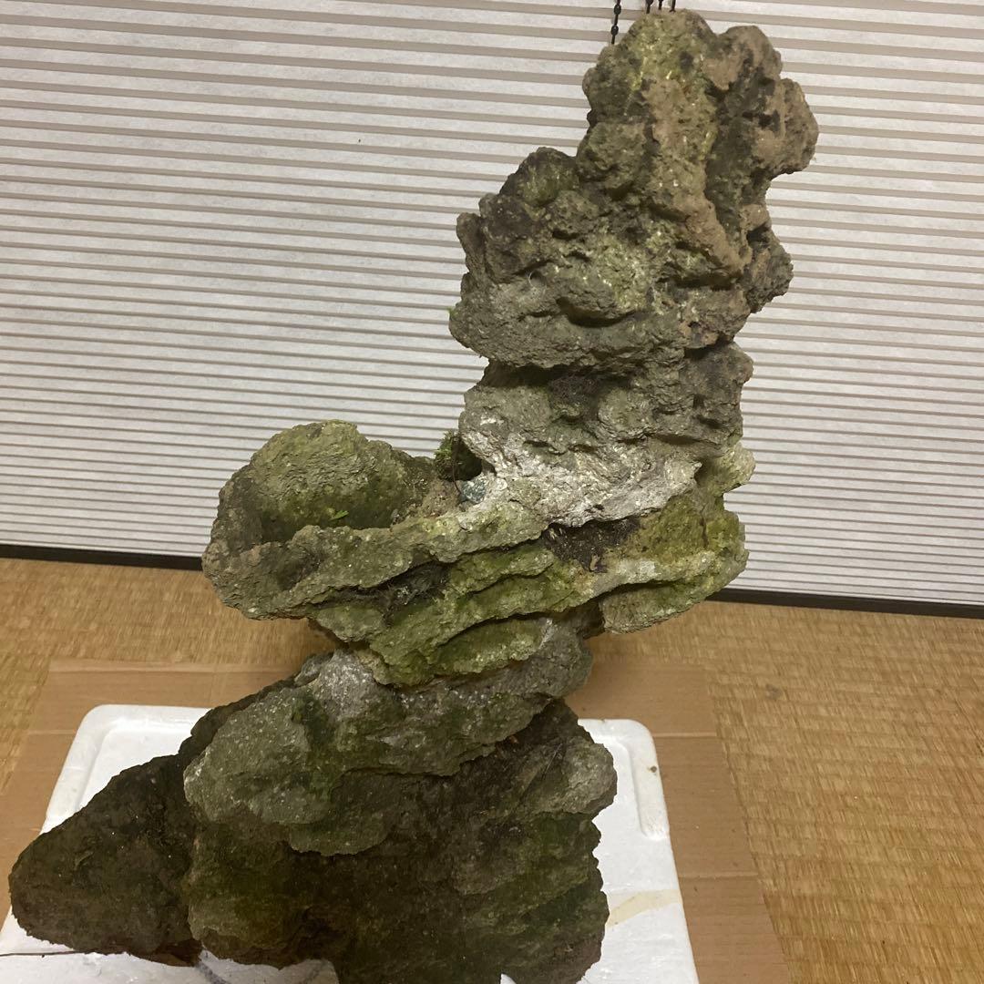 【美形】軽石　岩石　水槽　装飾 アクアリウム　NO3