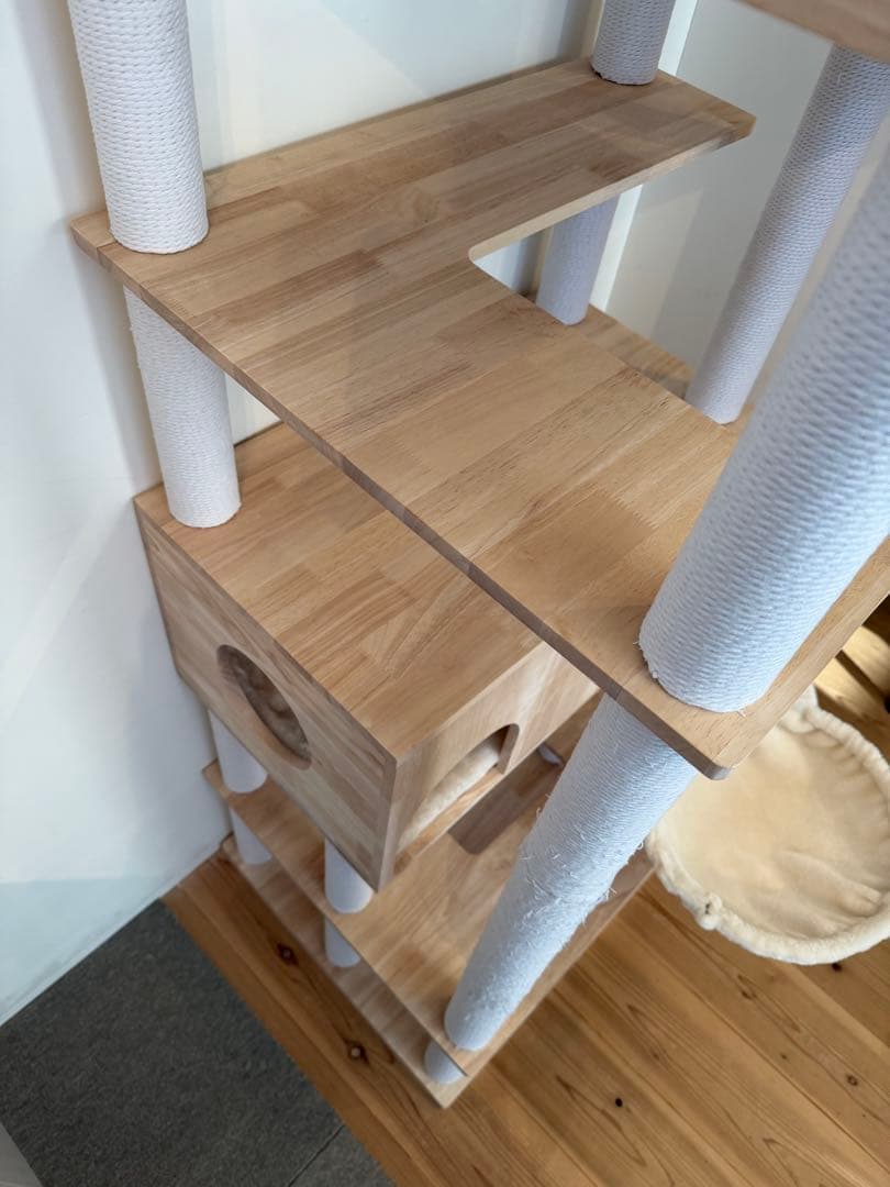 キャットタワースタジアム＊2024年購入