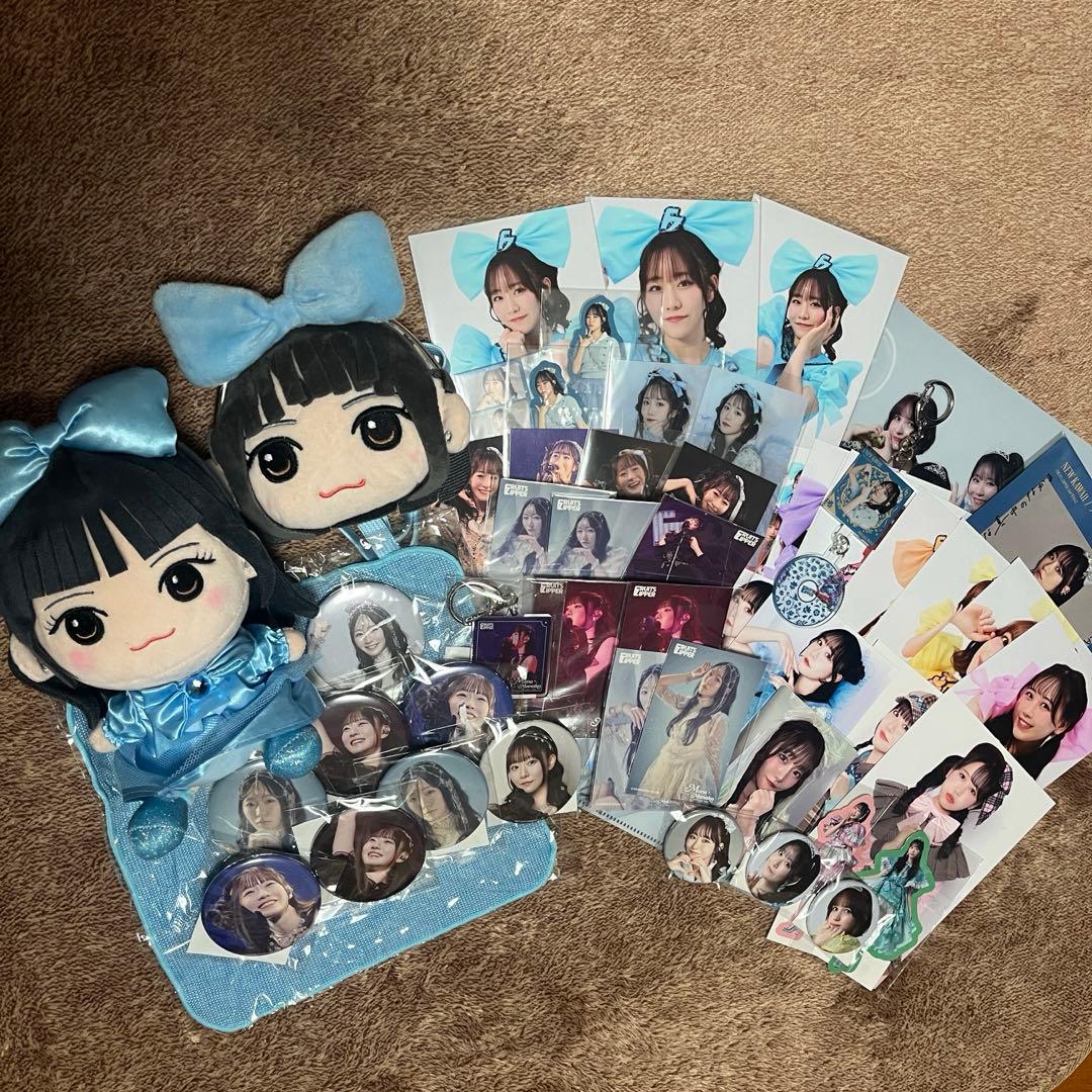 真中まな グッズセット FRUITSZIPPER ぬいぐるみ その他メンバー有り