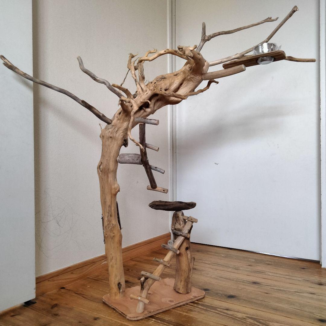 おつぶバードアスレチックジム㊽ 天然木 自然木 流木 止まり木 インコ